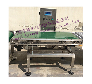 Dynamic weighing scale (sorting scale) Dynamic weighing scale (sorting scale)